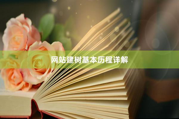 网站建树基本历程详解